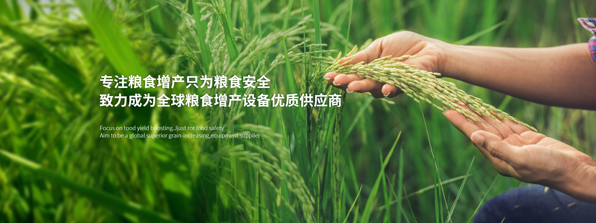 乐玩平台官网