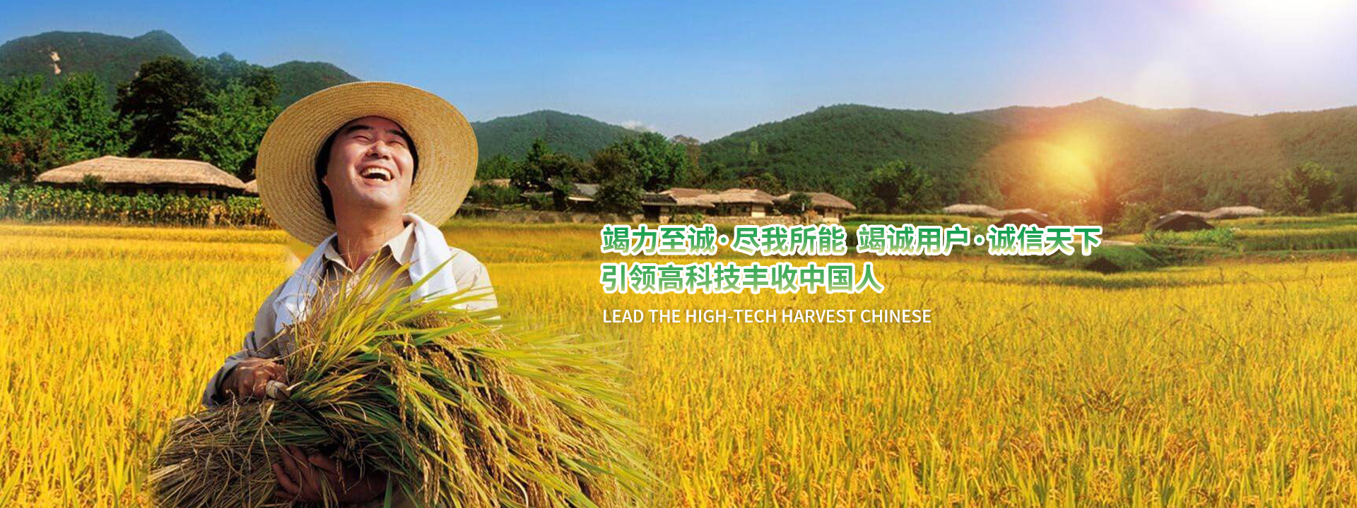 乐玩app免费版